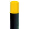 Bicolore pommeau RAL 1021