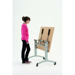 table basculante FT12
