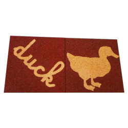 Duck /Canard