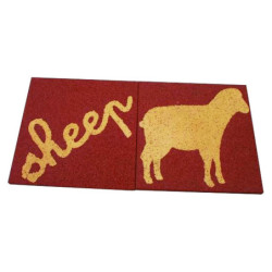 Sheep / Mouton