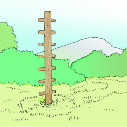 Arbre à grimper