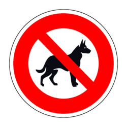 N°2 Chien loup noir