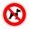 N°3 Chien Milou noir