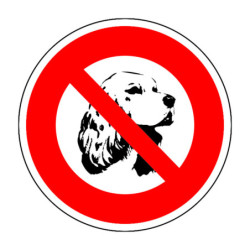 N°4 Chien cocker