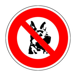 N° 5 Chien berger allemand