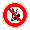 N° 5 Chien berger allemand