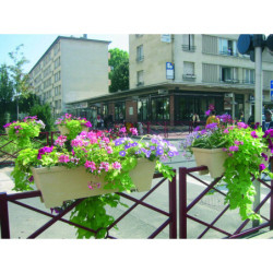balconnière sur rambarde...